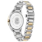 Citizen Arezzo Diamonds collection  EM0874-57D