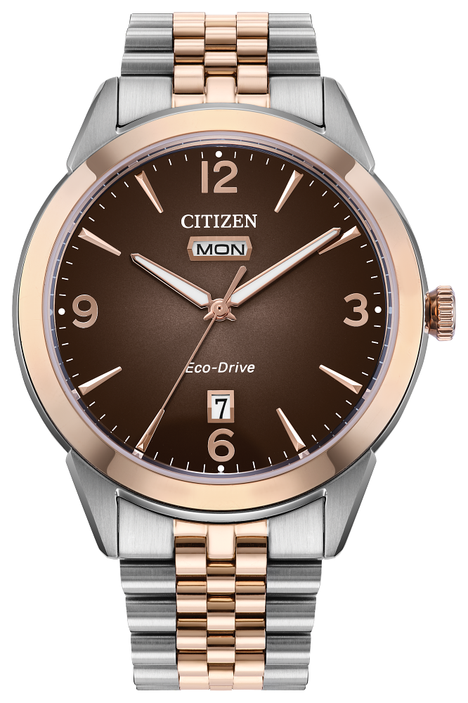 Citizen Rolan AW0156-57X