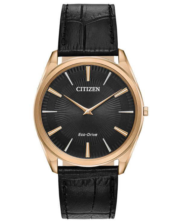 Citizen AR3073-06E