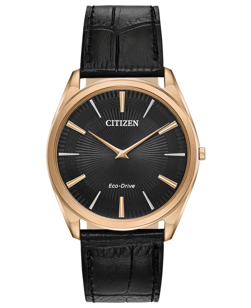Citizen AR3073-06E