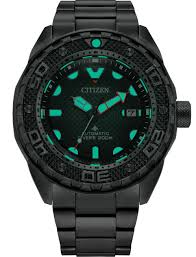 Promaster Dive Automatic NB6004-83E